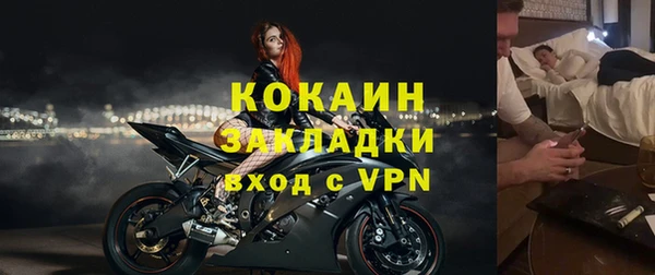 стаф Горняк