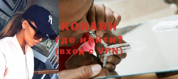 стаф Горняк