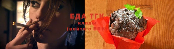 стаф Горняк