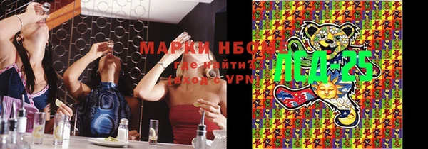 стаф Горняк