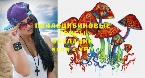 шишки Горнозаводск