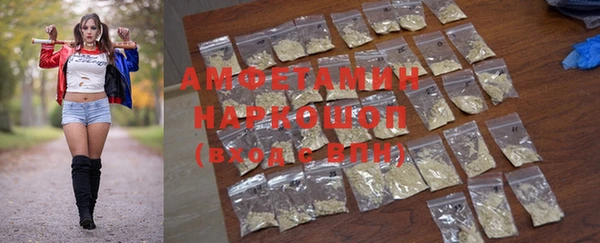 стаф Горняк