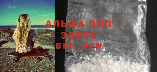 стаф Горняк