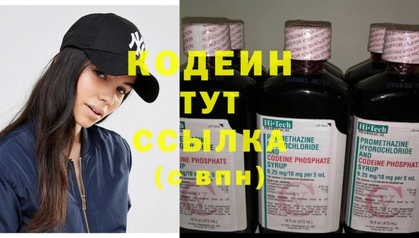 шишки Горнозаводск