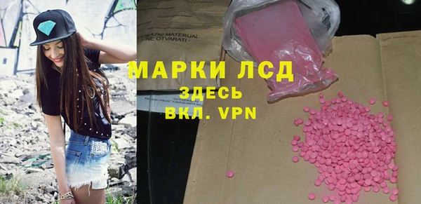 стаф Горняк