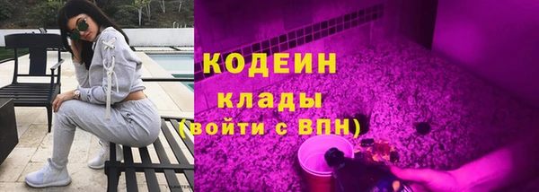 шишки Горнозаводск