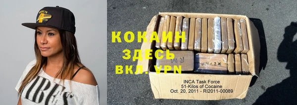 шишки Горнозаводск
