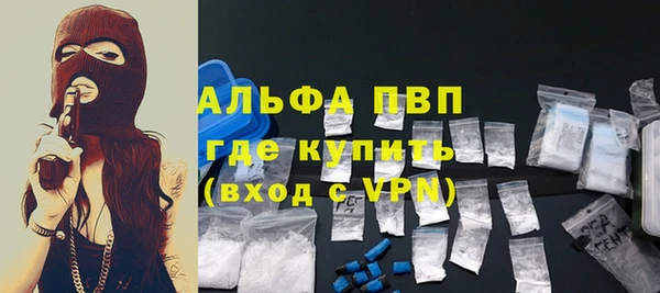 стаф Горняк